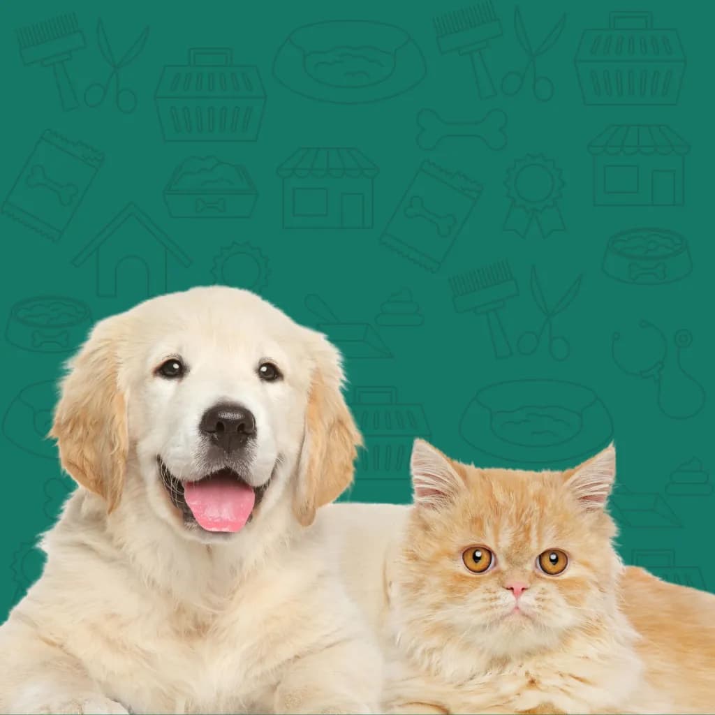 PETCARE INDUSTRY IN INDIA